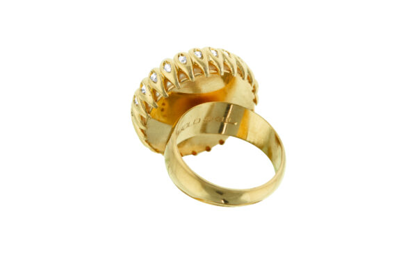 Antonella C031 - Image 2