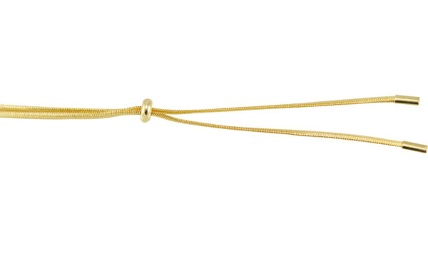 Camelia E220 - Image 2