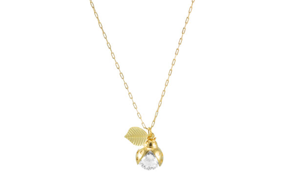 Orquídea E105