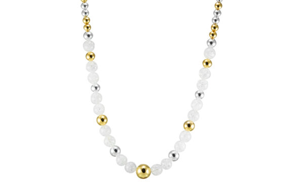 Camelia A106