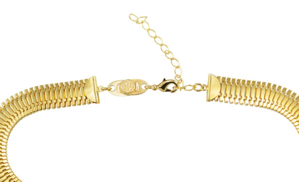 Bromélia E006 - Image 2