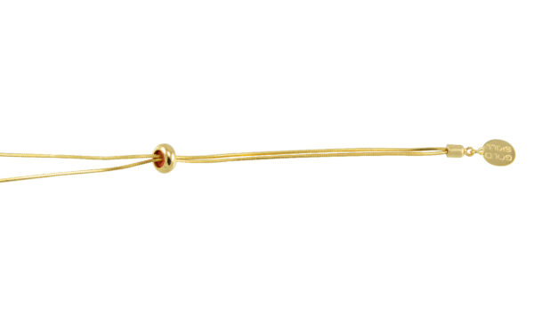 Bromélia E009 - Image 2