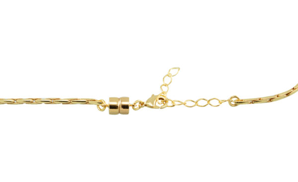 Bromélia E038 - Image 2