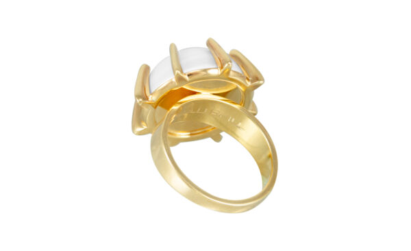Feminino C085 - Image 2
