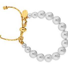 D005 DOURADO